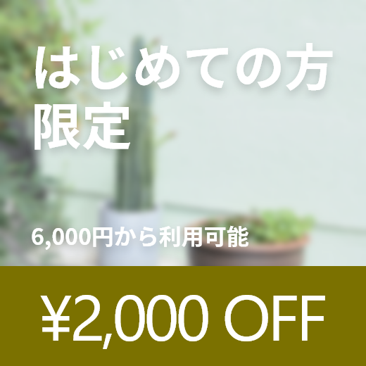ほくろ除去
